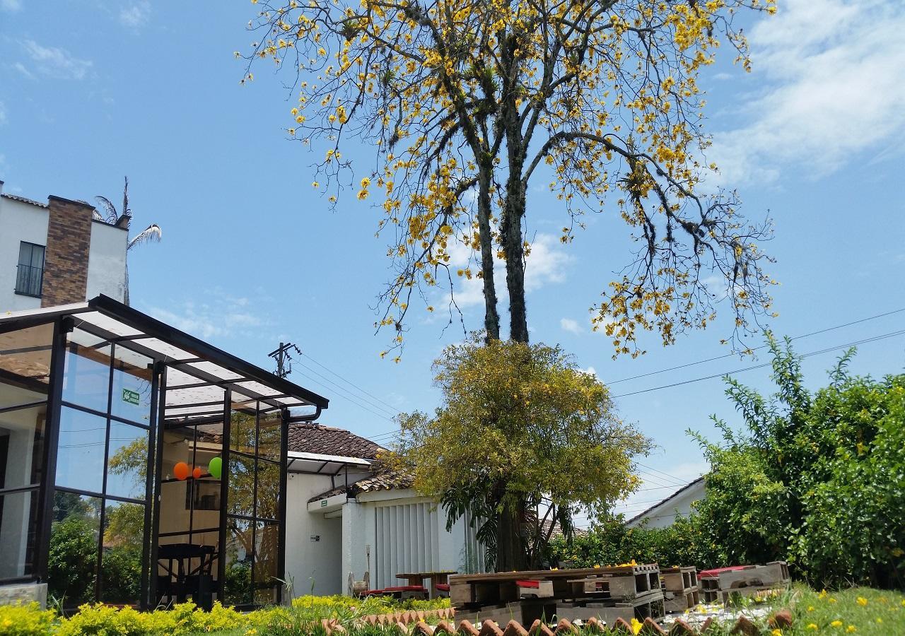 Hostal Morobik Popayan Εξωτερικό φωτογραφία